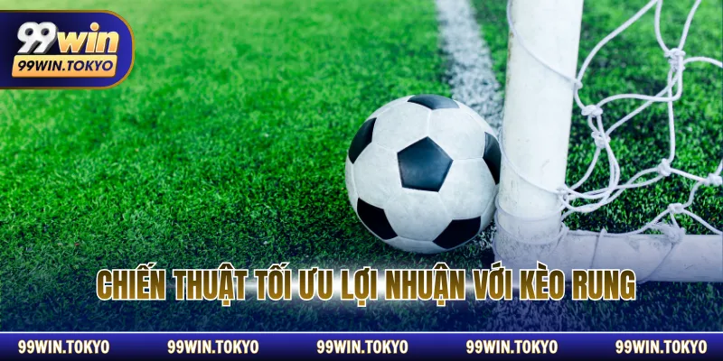 Chiến thuật tối ưu lợi nhuận với kèo rung